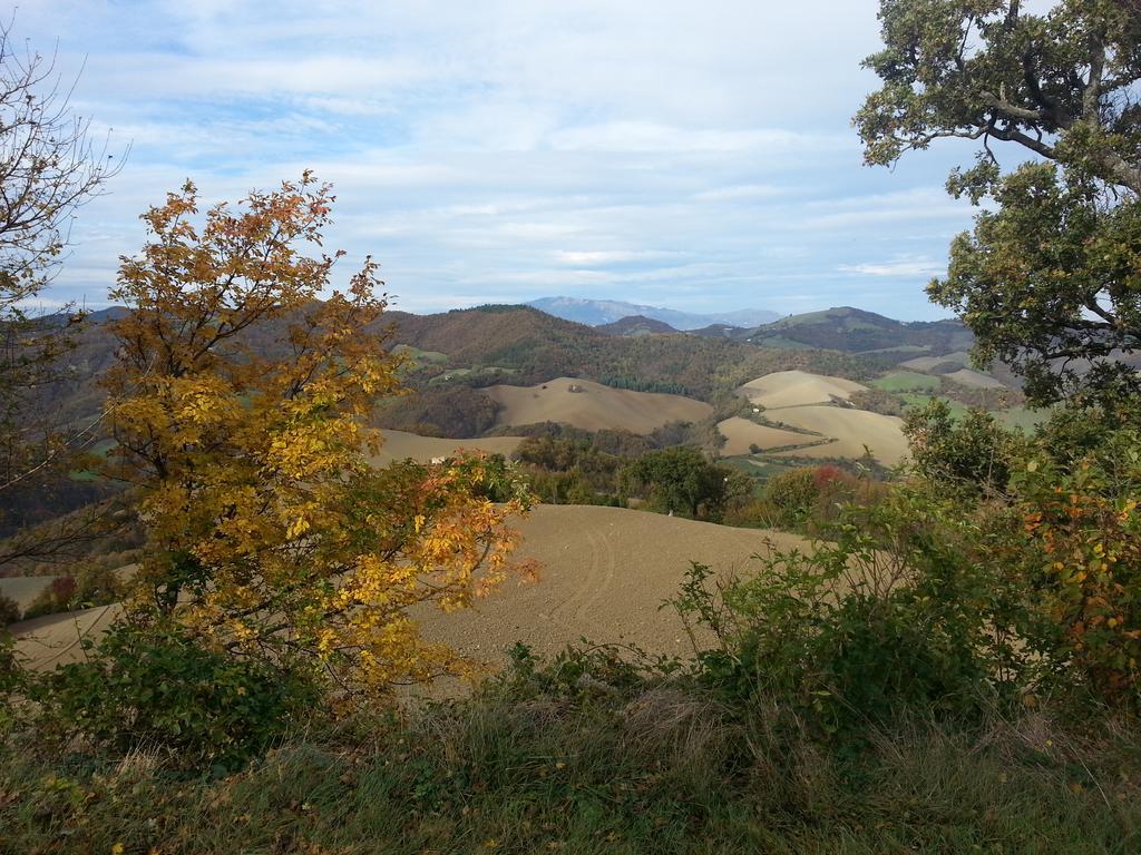 Bed and Breakfast Girfalco Country House Urbino Exterior foto